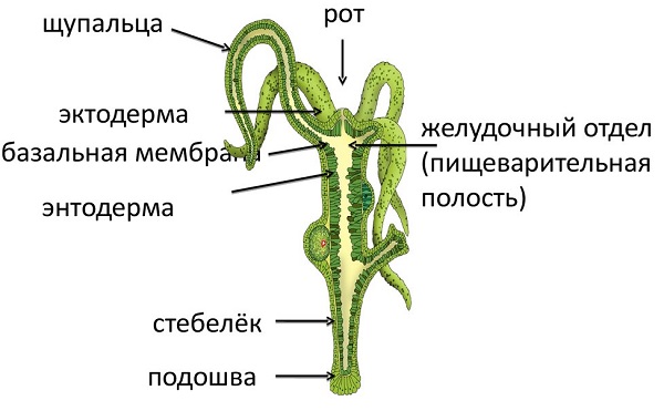 Кракен сайт kr2web in официальный ссылка